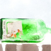 green bottle_horizontal_8505
