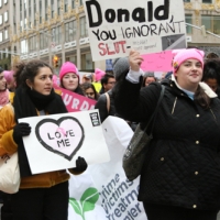 Pussy hat and message Donald, You Ignorant Slut