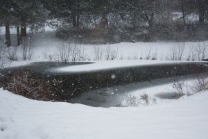Lakeside-Park, Pond in Snow