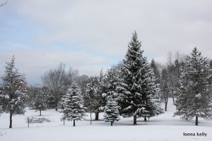 I could use some snow....