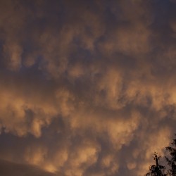 evening clouds 