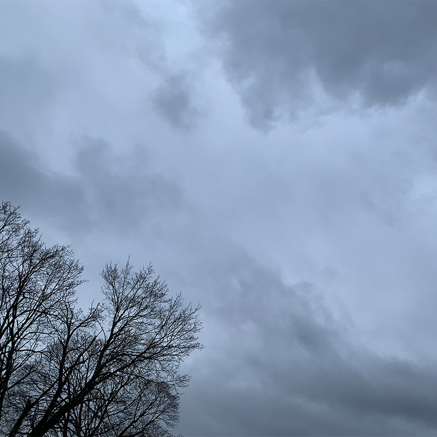 grey sky with bare tree top in bottom left