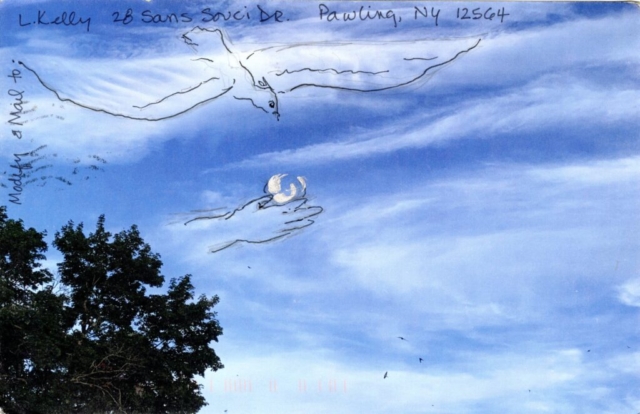 Peace Dove flies toward outstretched hand over blue sky and tree top on left