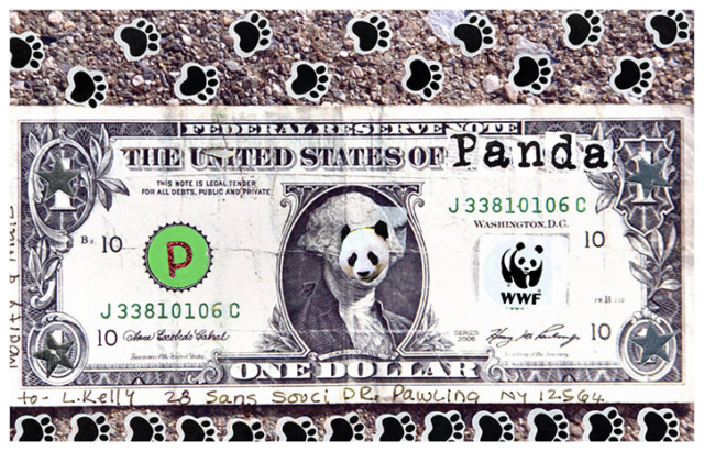 dollar bill with panda face on washington and the United States of Panda