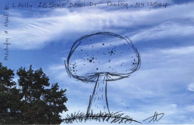 mushroom drawn on postcard of tree and glue sky