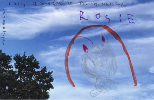 top of tree in bottom left child drawing of cat and name Rosie