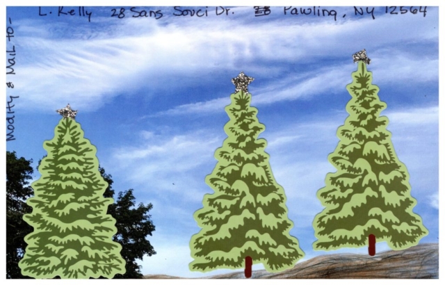 three evergreen trees topped with with silver stars pasted on