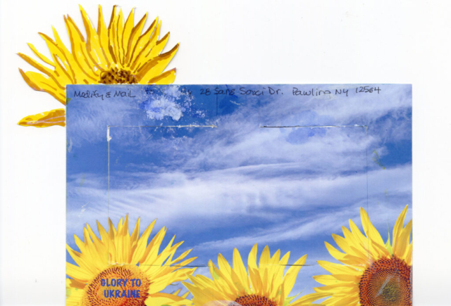 back of post card modified to add large sunflower at top left over blue sky and yellow sunflowers