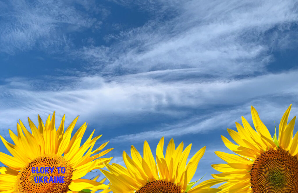 blue sky with drifting clouds over yellow sunflowers with text Glory to Ukraine