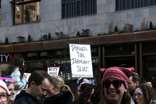 crowe of people one wearing pussy hat sign held above crowd donald, you ignorant slue # not my president