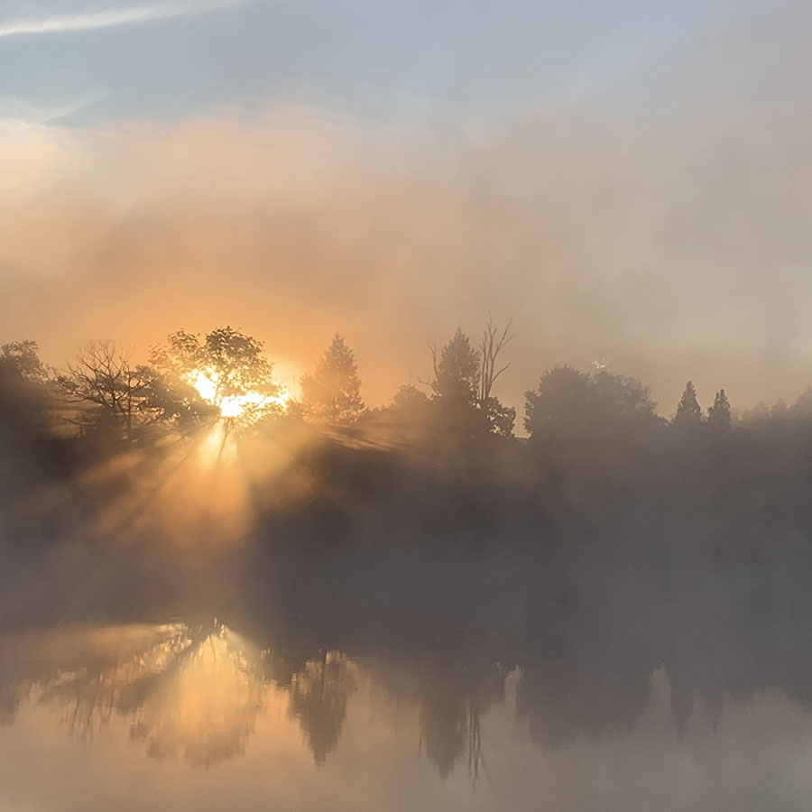 sun breaks over the trees spreading golden light reflected in lake