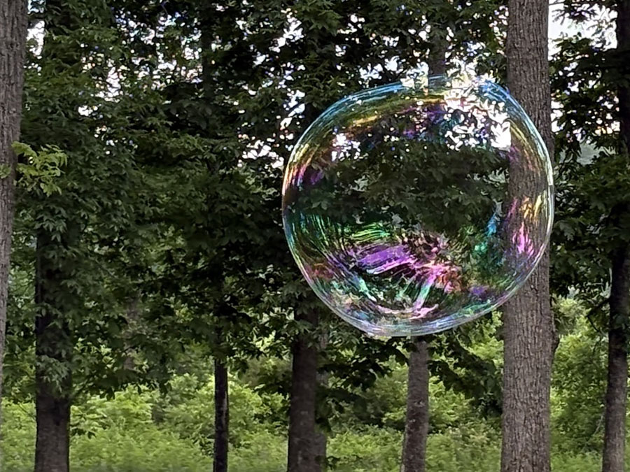 iriidescent orb floats by deep green trees