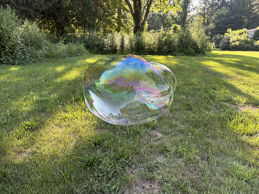 irridescent orb floats through field